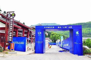 走，采茶去！第五屆“巴中云頂”茶文化旅游節(jié)明日盛大啟幕